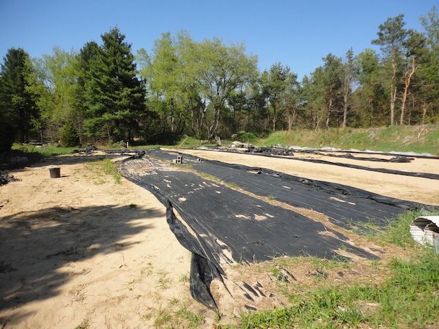 5925 113th Ave, Pullman, MI 49450 - view of road