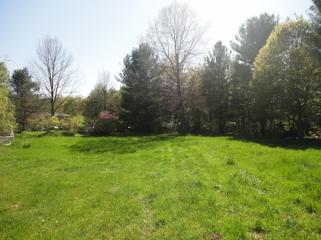 5925 113th Ave, Pullman, MI 49450 - view of yard