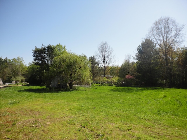 5925 113th Ave, Pullman, MI 49450 - view of yard