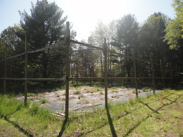 5925 113th Ave, Pullman, MI 49450 - view of yard