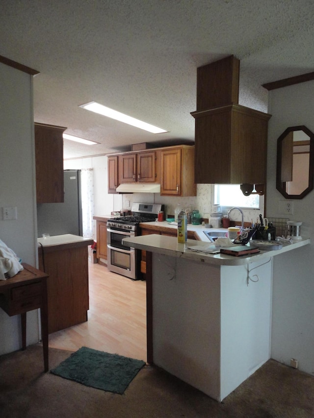 5925 113th Ave, Pullman, MI 49450 - kitchen featuring appliances with stainless steel finishes, a peninsula, under cabinet range hood, brown cabinets, and a sink