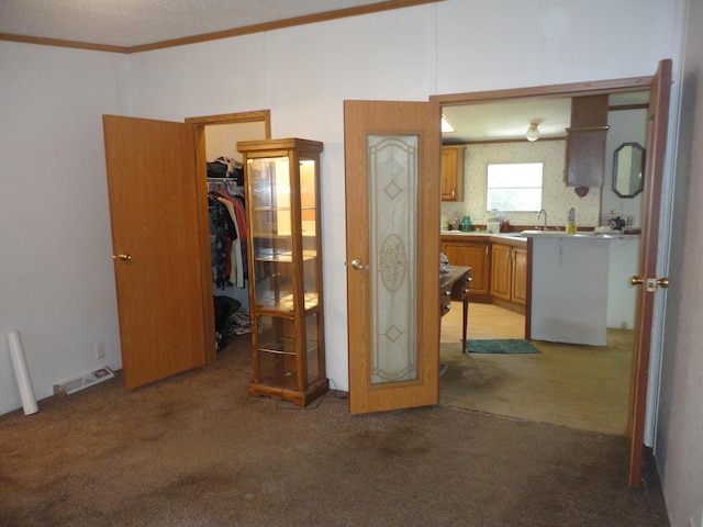 5925 113th Ave, Pullman, MI 49450 - bedroom featuring light colored carpet, a spacious closet, a closet, crown molding, and a sink