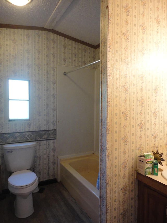 5925 113th Ave, Pullman, MI 49450 - bathroom featuring toilet,  shower combination, wood finished floors, vanity, and a textured ceiling