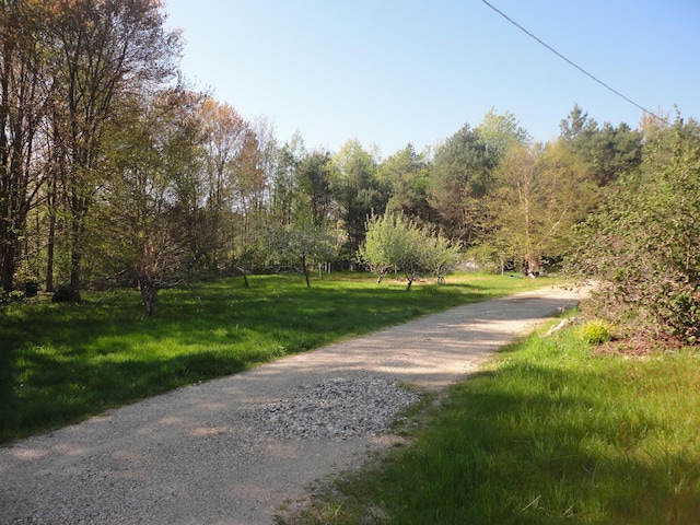 5925 113th Ave, Pullman, MI 49450 - view of community with a yard