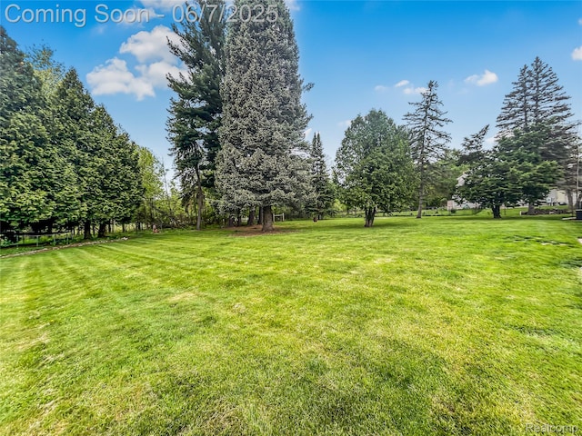 2211 N Sycamore Dr, Burton, MI 48509 - view of grassy yard