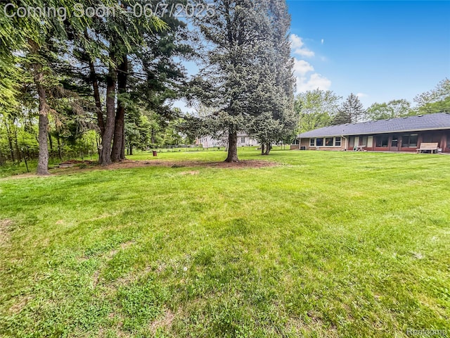 2211 N Sycamore Dr, Burton, MI 48509 - view of green lawn