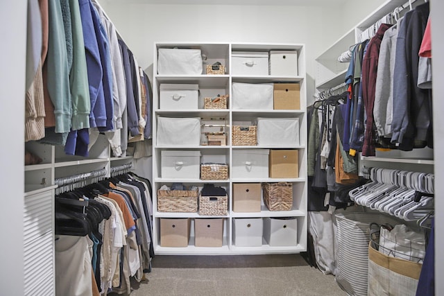 1819 Gloryfield Dr SW, Byron Center, MI 49315 - walk in closet featuring carpet