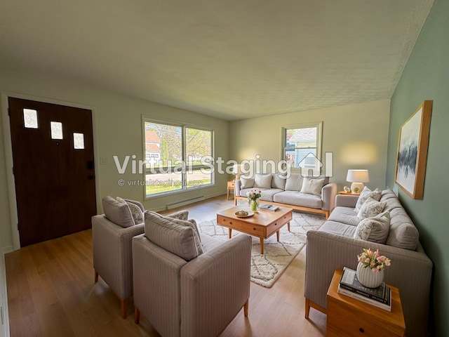 1043 Eastern Ave NE, Grand Rapids, MI 49503 - living area featuring light wood finished floors and healthy amount of natural light