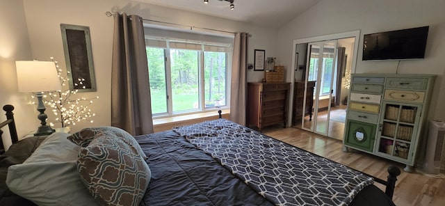 4447 Deer Creek Dr, Norton Shores, MI 49441 - bedroom featuring wood finished floors and lofted ceiling