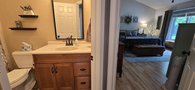4447 Deer Creek Dr, Norton Shores, MI 49441 - bathroom with wood finished floors, toilet, vanity, and vaulted ceiling