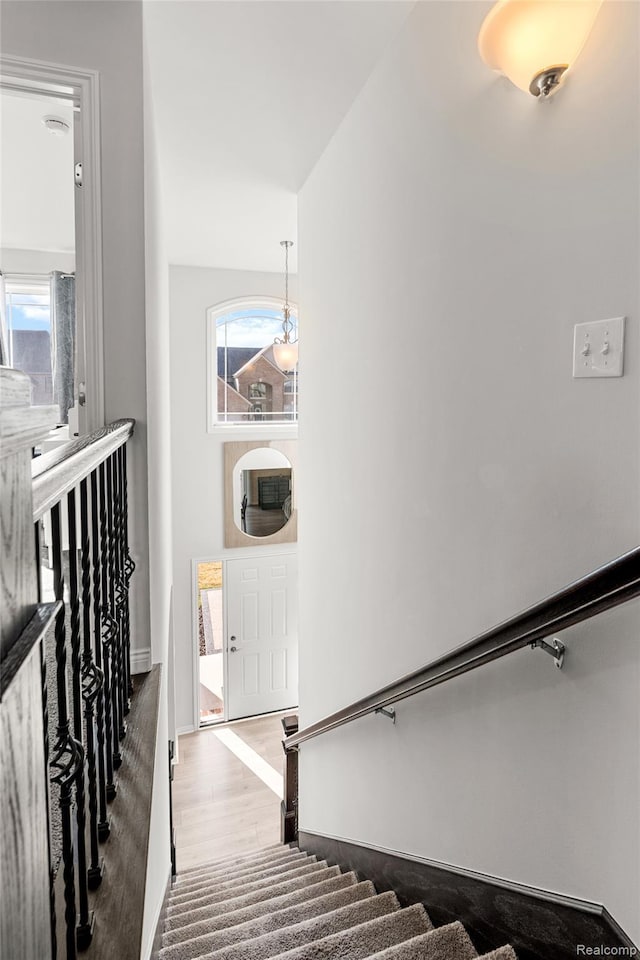 52690 Char Marie, Macomb, MI 48042 - stairs featuring wood finished floors