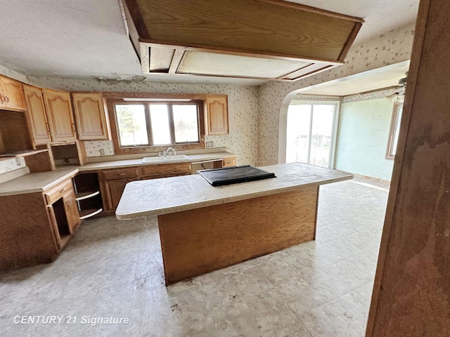 5207 S Whiteville Rd, Mount Pleasant, MI 48858 - kitchen featuring a sink, healthy amount of natural light, light countertops, dishwasher, and wallpapered walls