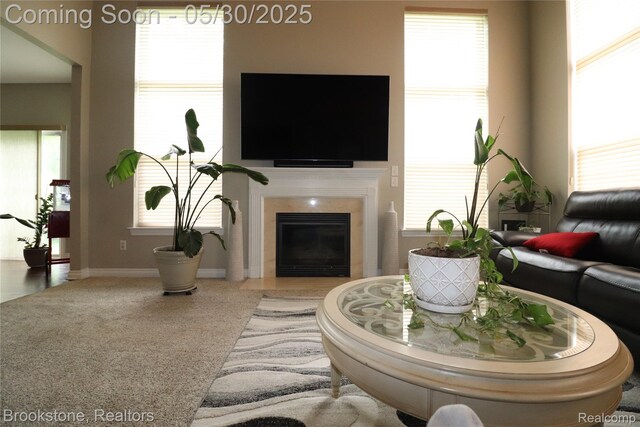 13961 Cobblestone Creek Dr, Belleville, MI 48111 - living area with a glass covered fireplace, baseboards, and plenty of natural light