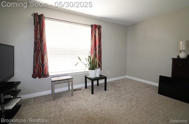 13961 Cobblestone Creek Dr, Belleville, MI 48111 - sitting room with carpet and baseboards