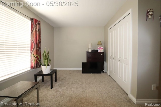 13961 Cobblestone Creek Dr, Belleville, MI 48111 - sitting room featuring carpet flooring and baseboards