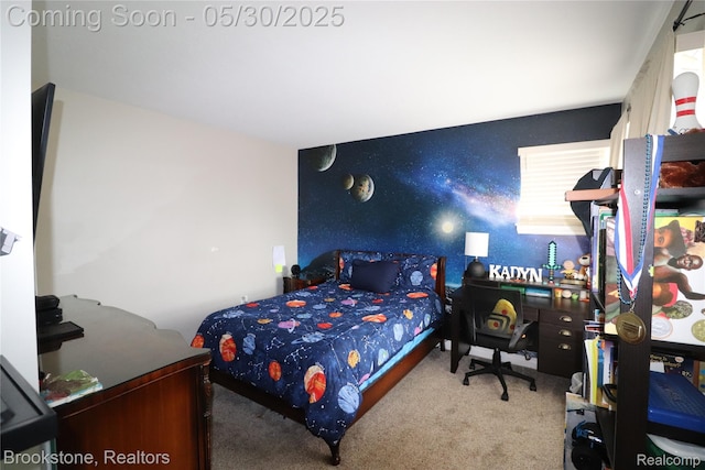 13961 Cobblestone Creek Dr, Belleville, MI 48111 - view of carpeted bedroom