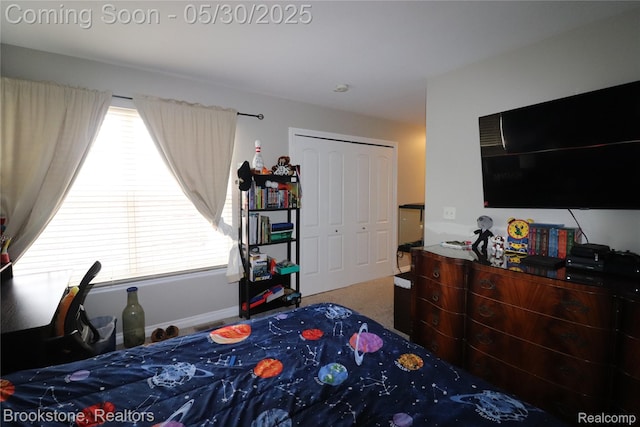 13961 Cobblestone Creek Dr, Belleville, MI 48111 - carpeted bedroom with a closet and multiple windows