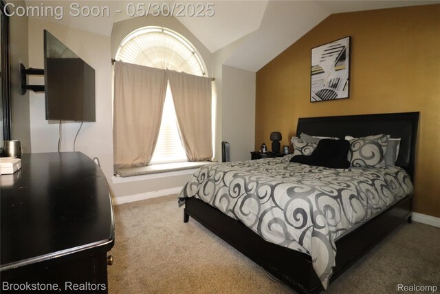 13961 Cobblestone Creek Dr, Belleville, MI 48111 - carpeted bedroom featuring vaulted ceiling and baseboards