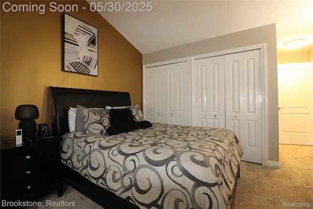 13961 Cobblestone Creek Dr, Belleville, MI 48111 - carpeted bedroom with two closets and vaulted ceiling