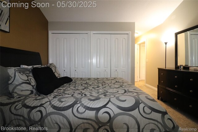 13961 Cobblestone Creek Dr, Belleville, MI 48111 - bedroom featuring multiple closets and light carpet
