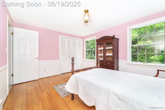 18410 Fermanagh Ct, Northville, MI 48168 - bedroom featuring wood finished floors, a closet, and wainscoting