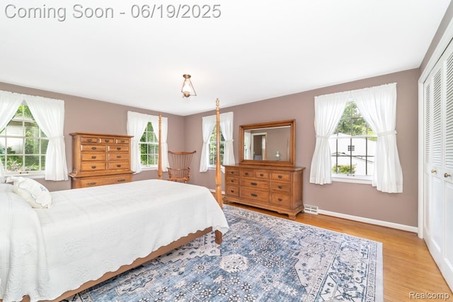 18410 Fermanagh Ct, Northville, MI 48168 - bedroom with multiple windows, wood finished floors, and a closet