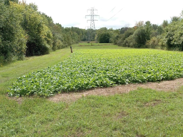 1252 E Frances Rd, Mount Morris, MI 48458