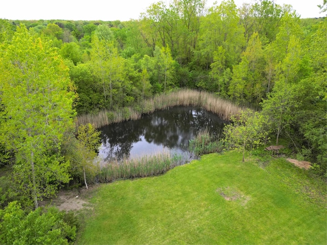 1252 E Frances Rd, Mount Morris, MI 48458