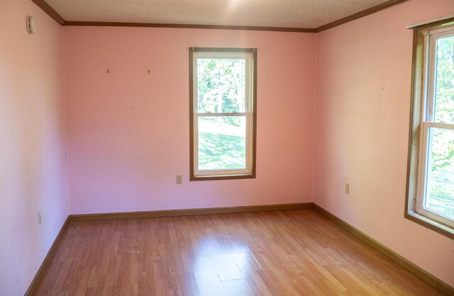 6340 Warren Woods Rd, Three Oaks, MI 49128 - spare room featuring light wood-type flooring, plenty of natural light, crown molding, a textured ceiling, and baseboards