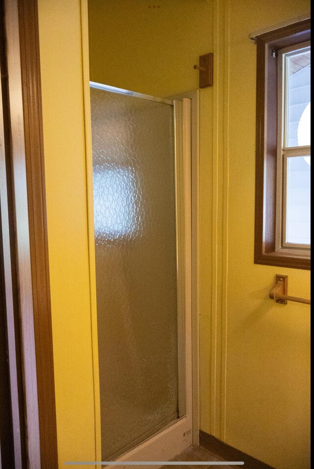 6340 Warren Woods Rd, Three Oaks, MI 49128 - bathroom featuring a shower stall