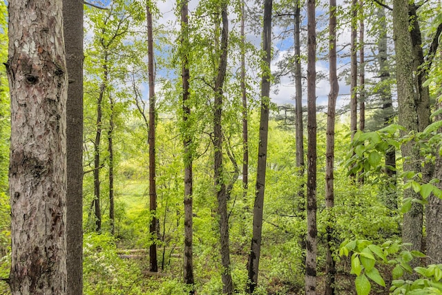 1094 Lake Marie Dr, Horton, MI 49246 - view of undeveloped land