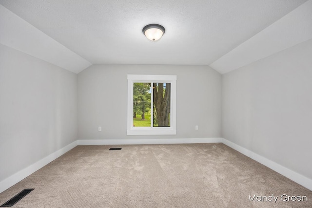 536 E Grant St, Sheridan, MI 48884 - additional living space with lofted ceiling, carpet, and baseboards
