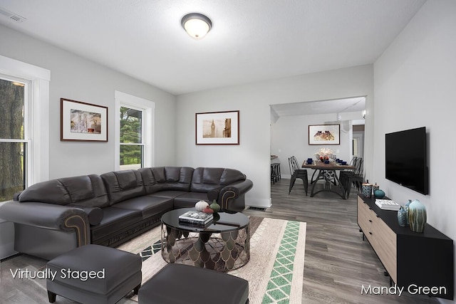 536 E Grant St, Sheridan, MI 48884 - living room featuring wood finished floors