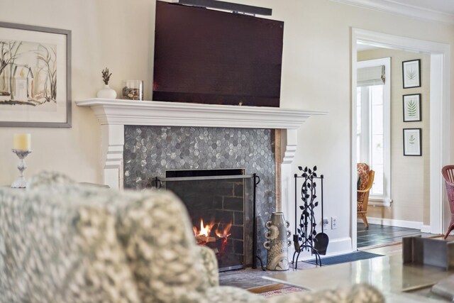 616 S Elm St, Three Oaks, MI 49128 - detailed view of a fireplace, ornamental molding, wood finished floors, and baseboards