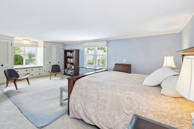 616 S Elm St, Three Oaks, MI 49128 - bedroom with multiple windows and ornamental molding