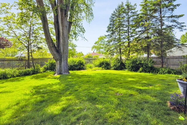 616 S Elm St, Three Oaks, MI 49128 - view of yard