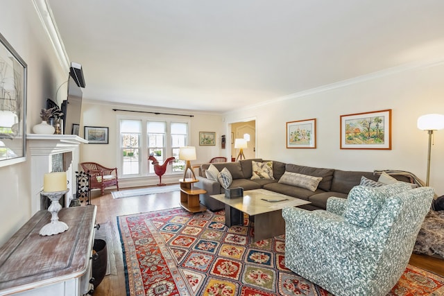 616 S Elm St, Three Oaks, MI 49128 - living room featuring ornamental molding, wood finished floors, and a fireplace with raised hearth