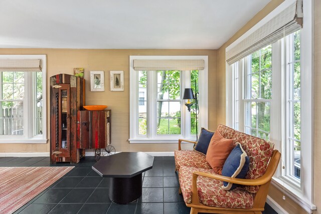 616 S Elm St, Three Oaks, MI 49128 - sitting room with plenty of natural light, dark tile patterned floors, and baseboards