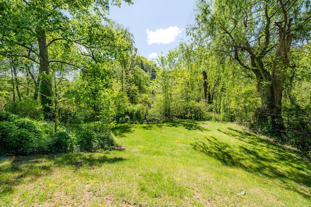 1522 S Riviera Dr, Stevensville, MI 49127 - photo 44