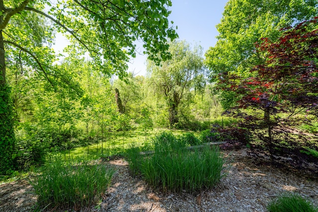1522 S Riviera Dr, Stevensville, MI 49127 - photo 43