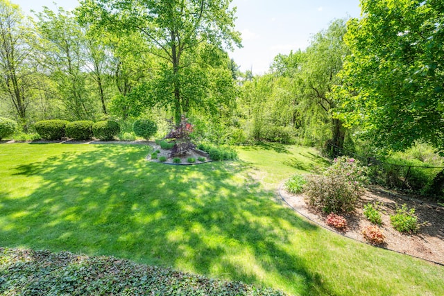 1522 S Riviera Dr, Stevensville, MI 49127 - photo 37