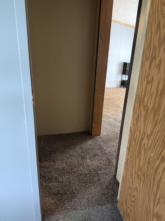 501 N US-131 Hwy # 17, White Pigeon, MI 49099 - hallway with carpet