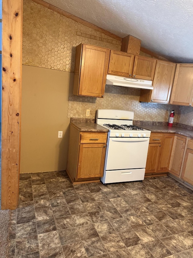 501 N US-131 Hwy # 17, White Pigeon, MI 49099 - kitchen with white gas range oven, under cabinet range hood, dark countertops, a textured ceiling, and tasteful backsplash