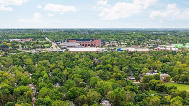 2316 Brockman Blvd, Ann Arbor, MI 48104 - bird's eye view of a forest