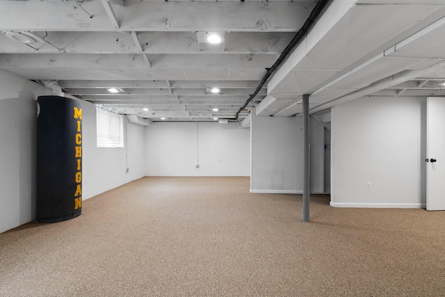 2316 Brockman Blvd, Ann Arbor, MI 48104 - basement with carpet floors