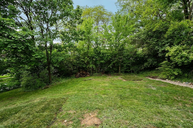 2316 Brockman Blvd, Ann Arbor, MI 48104 - view of green lawn