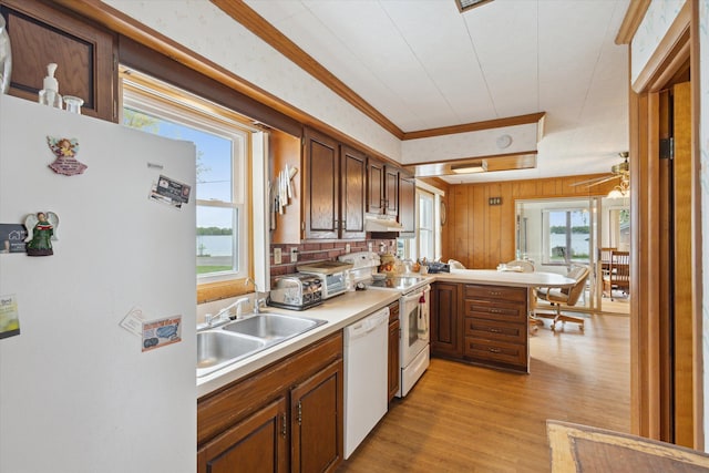 650 N Shore Dr, Crystal, MI 48818 - kitchen featuring white appliances, a sink, healthy amount of natural light, and ornamental molding