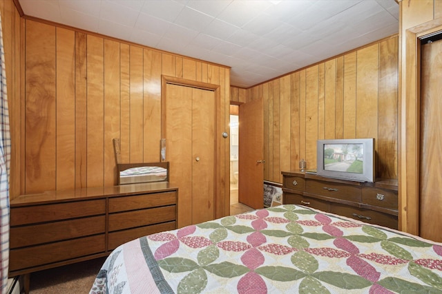 650 N Shore Dr, Crystal, MI 48818 - bedroom with wooden walls and a baseboard radiator