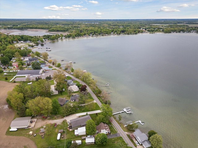 650 N Shore Dr, Crystal, MI 48818 - aerial view of property and surrounding area featuring a large body of water