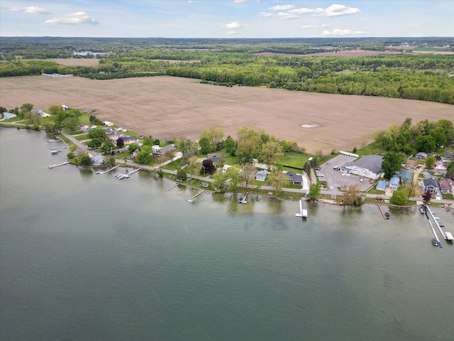 650 N Shore Dr, Crystal, MI 48818 - aerial overview of property's location with a nearby body of water and nearby suburban area